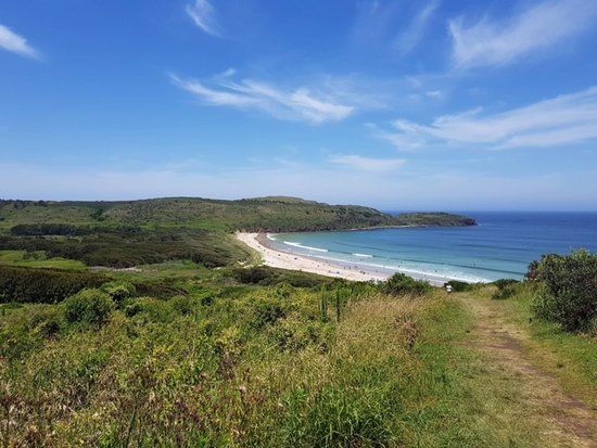 Killalea State Park